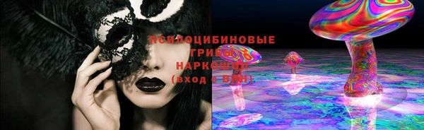 шишки Баксан