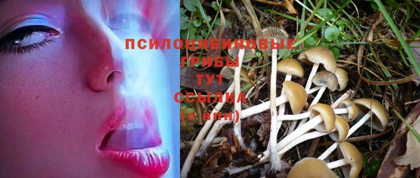 шишки Баксан