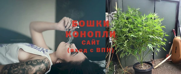 шишки Баксан