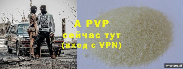 шишки Баксан