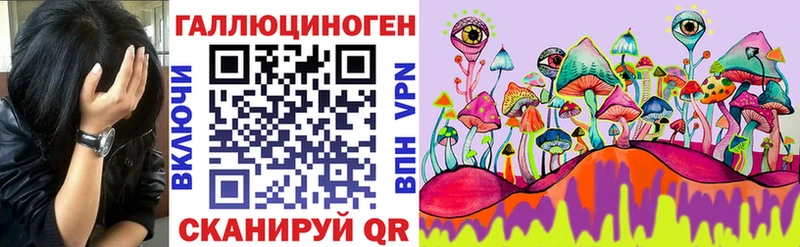 где найти   Беслан  Псилоцибиновые грибы ЛСД 
